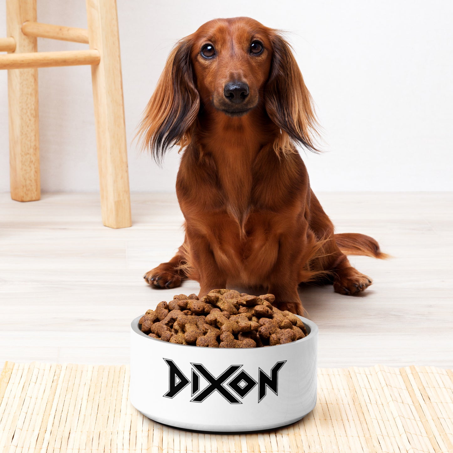 Pet bowl