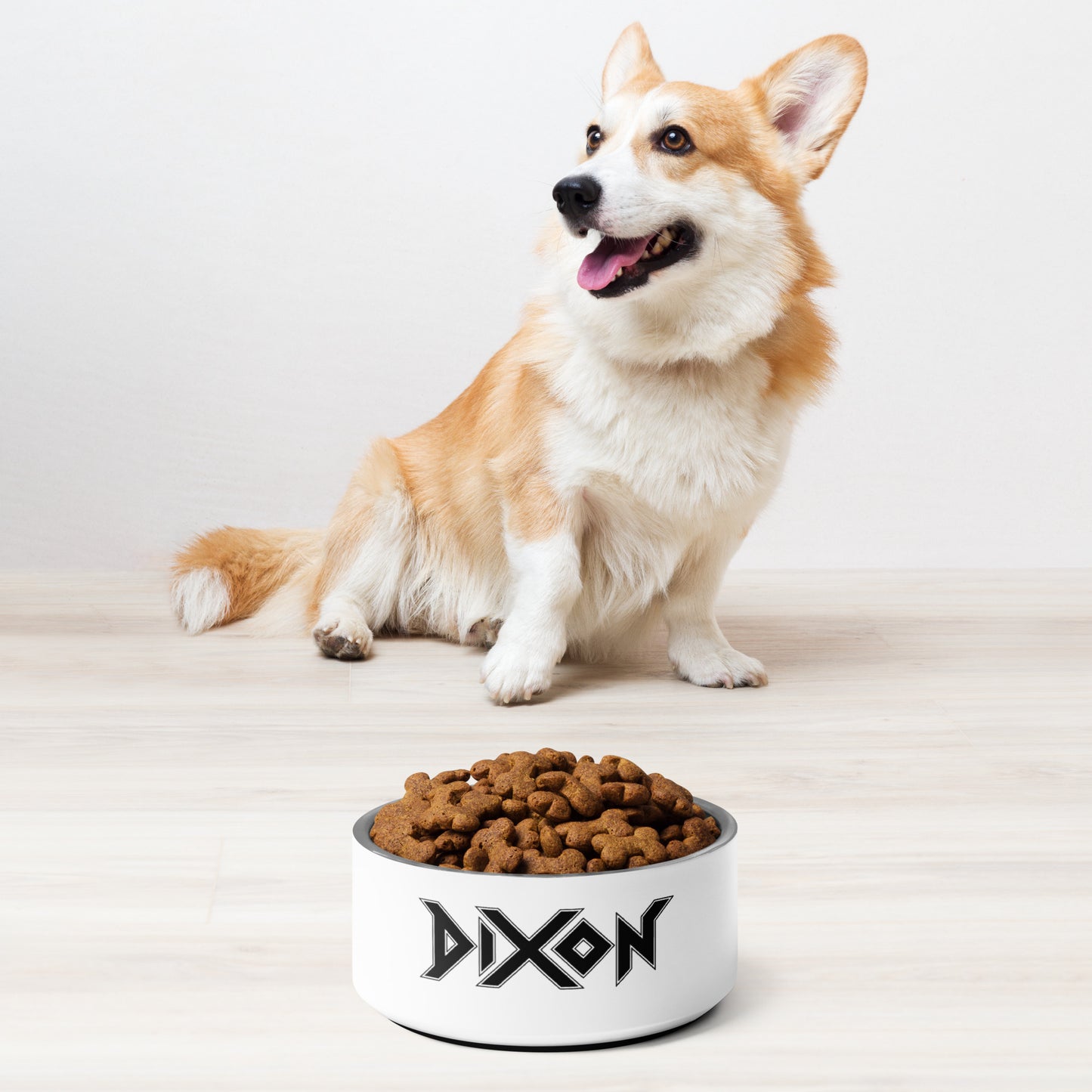 Pet bowl